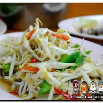 Beansprouts