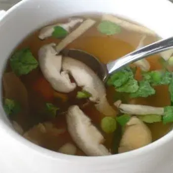 chicken broth with mushroom