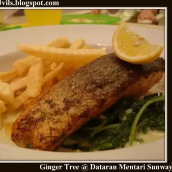 Grilled Salmon