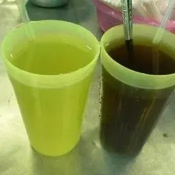 Warm Chrysanthemum and Luo Han Kuo