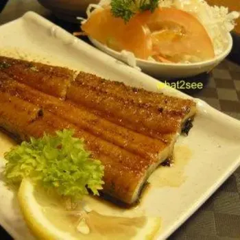 Unagi Kabayaki