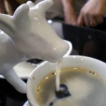 Milk
