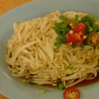 Bean Sprouts