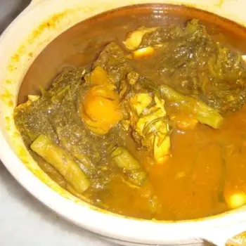 Perut Ikan