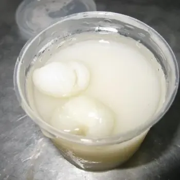 Soya Pudding With Longan