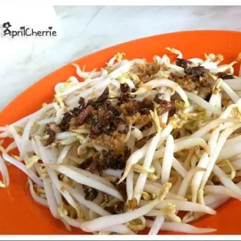 Bean Sprout
