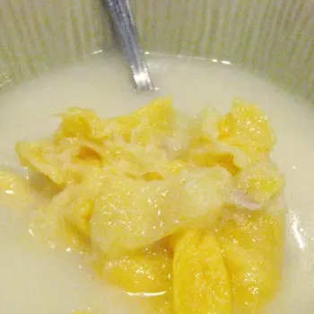 Durian Glutinous Rice in Coconut Milk