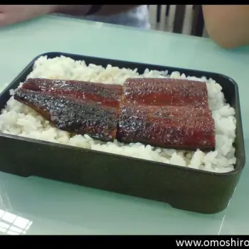 Unagi Don