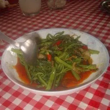 Kangkung