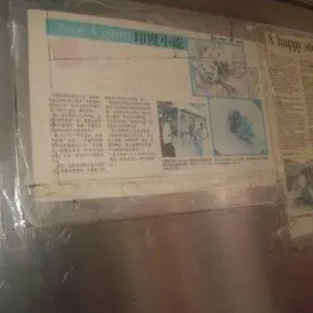 Newspaper Article About This Stall