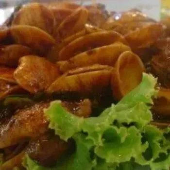Sea shell wif Kam Heung