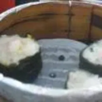 Seaweed Dim Sum