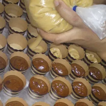 Piping