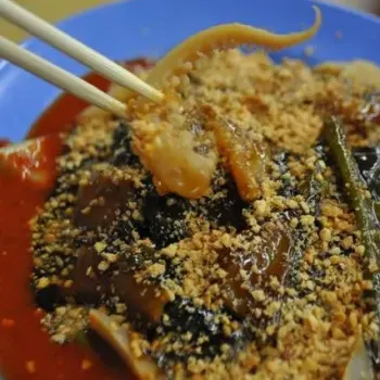 Sotong Kangkung