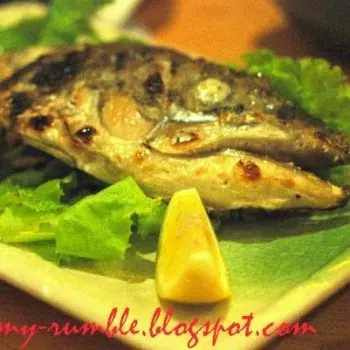 Salmon Fish Head