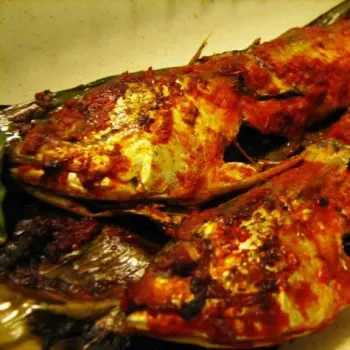 Kembung Fish