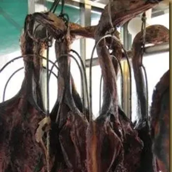 Roasted Duck