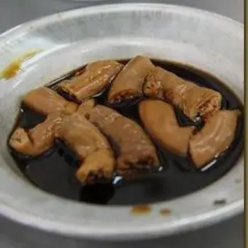Intestines