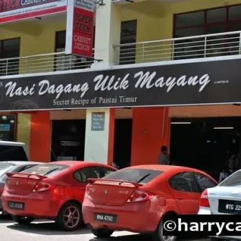 Ulik Mayang #1