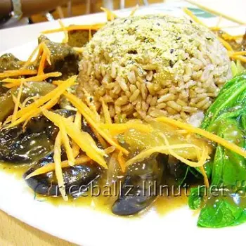 Vegan Duck Rice Set