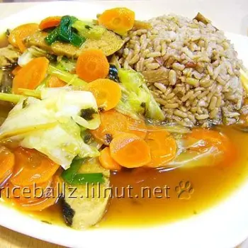 Mock Meat Ginger Rice Set