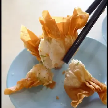 Fried Wantan