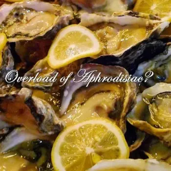 Oysters