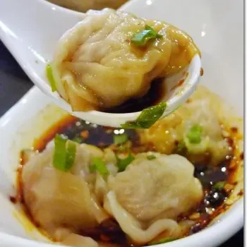 Sour & Spicy Minced Meat Dumplings