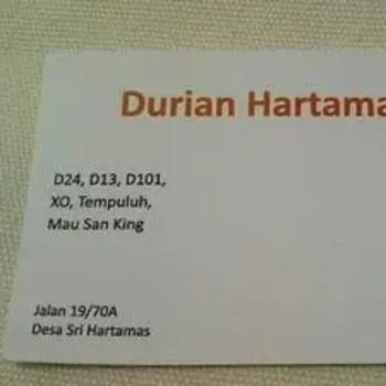 Business Card