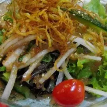 Daikon Sarada