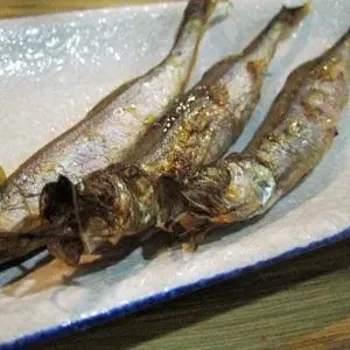Komochi Shisamo