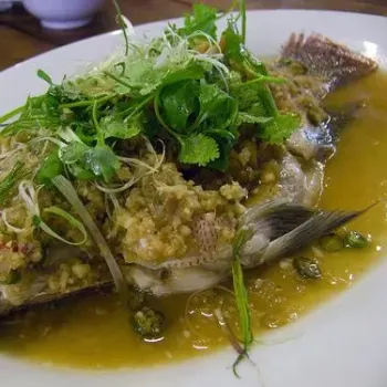 Steam Talapia