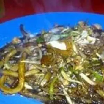 Tapioca Noodles