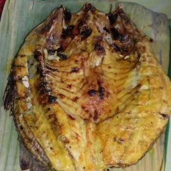 Grilled Fish