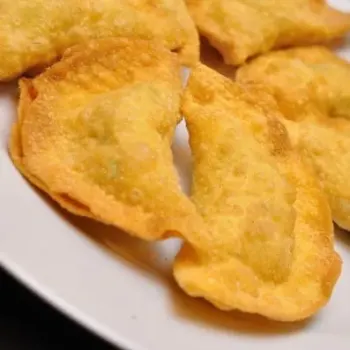 Deep Fried Dumplings