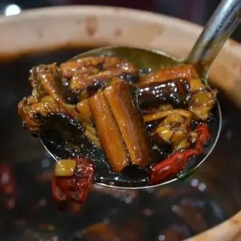 “Kung Pow” Eel