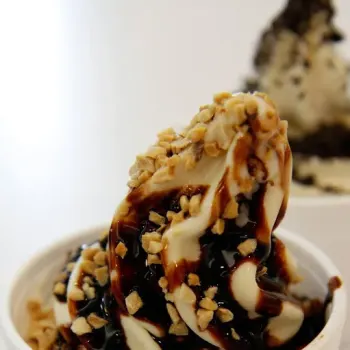 Choc Peanut Soy Ice Cream