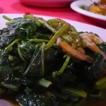 马来风光