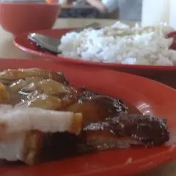 BBQ Pork Rice