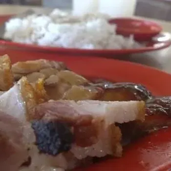 Roasted Pork Rice