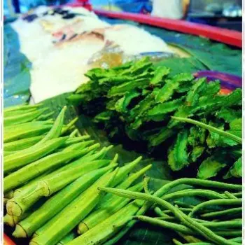 Vegetables