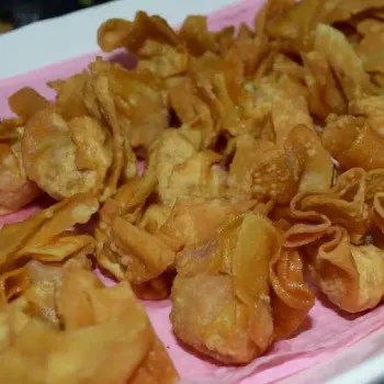 deep fried dumplings