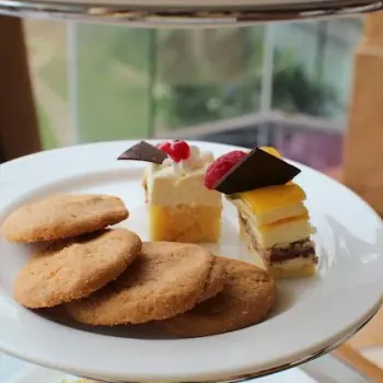 Cookies and Assorted Cakes