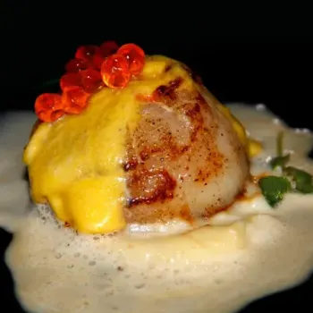 Scottish King Scallop with urchin roe hollandaise