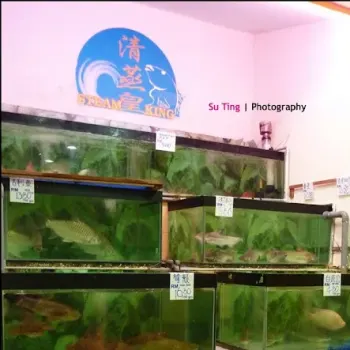 Steam King Fishes