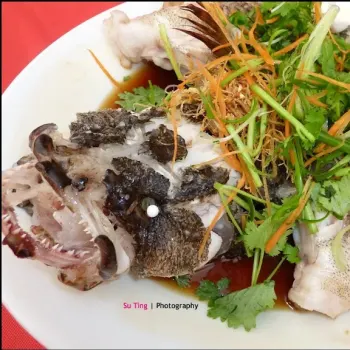 Steamed Soon Hock fish with light soy sauce