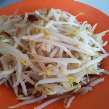 
Steam Beansprout
