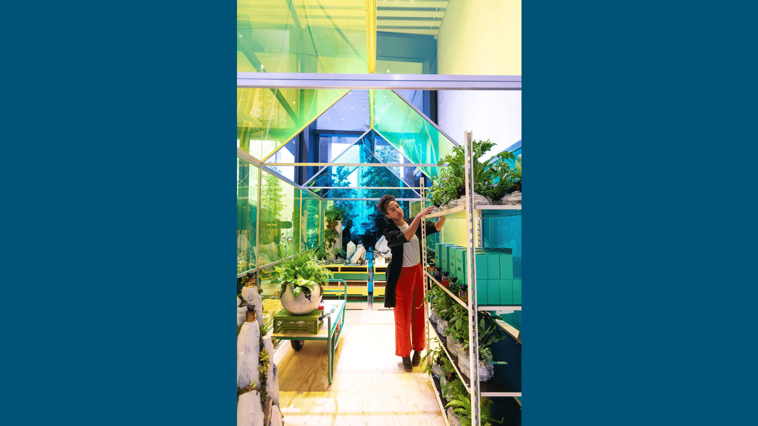 WEB Selfridges Garden Centre opening day Monday 21 June 2021 featuring featuring resident gardener Angela Maynard