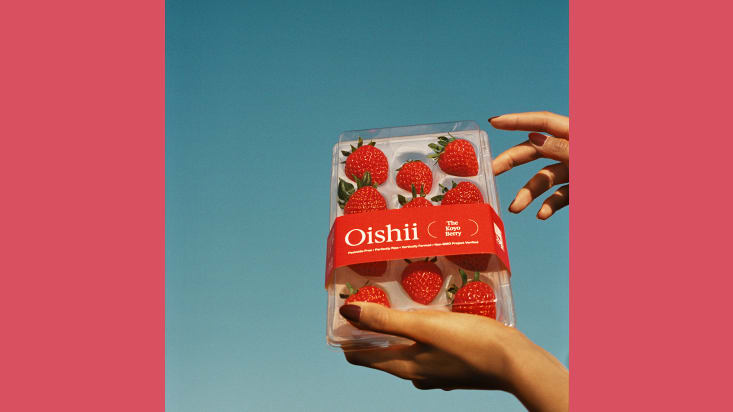 Oishii Koyo Berries2 copy