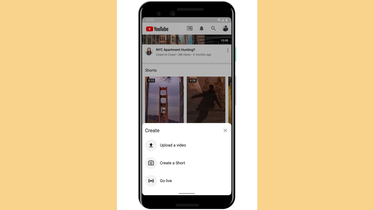 WEB shorts